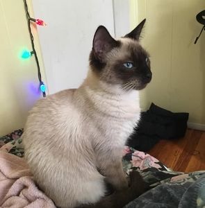 Meet your Posher, Joanna